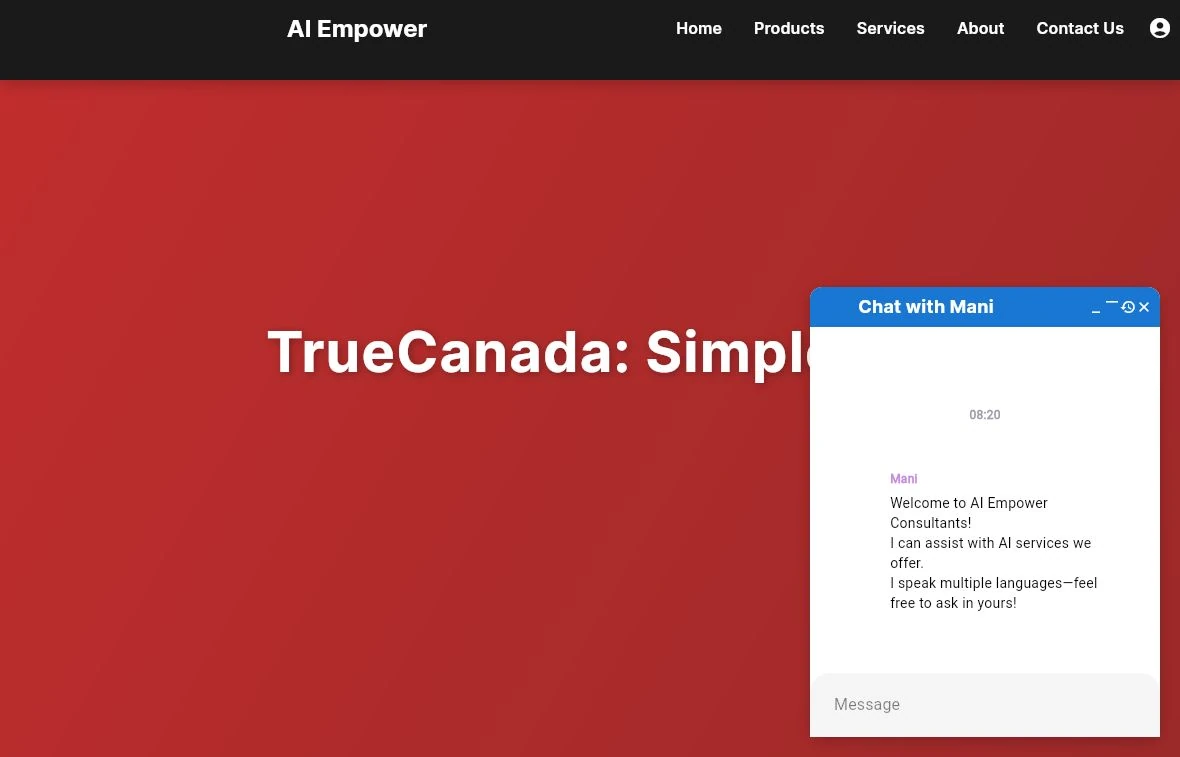 Actual public entry screen of Technology Website & Chatbot. Website showcase.